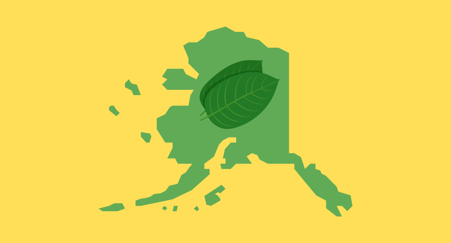 Is Kratom Legal in Alaska? (& Where to Get It)