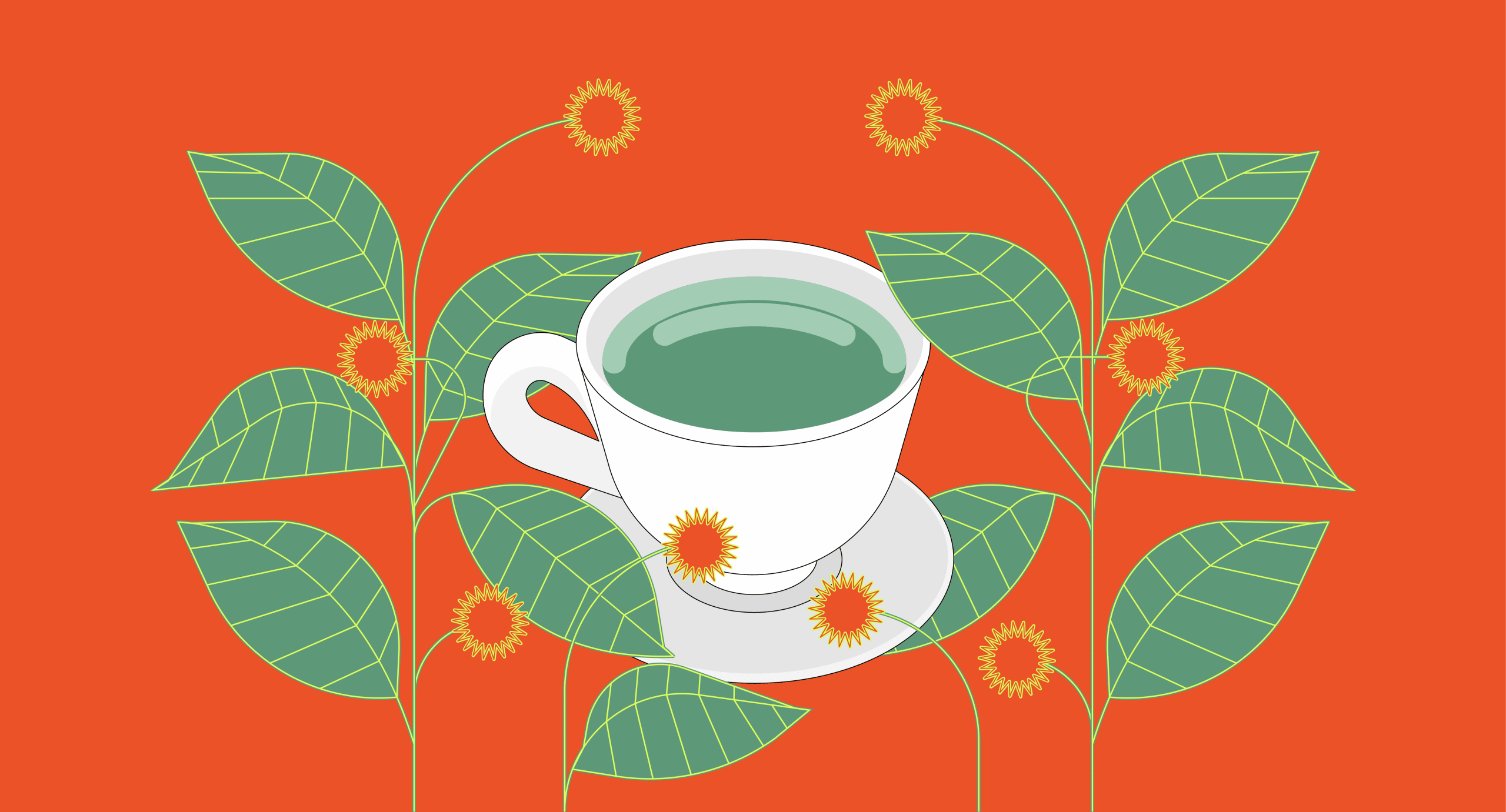 How to Prepare Kratom Tea