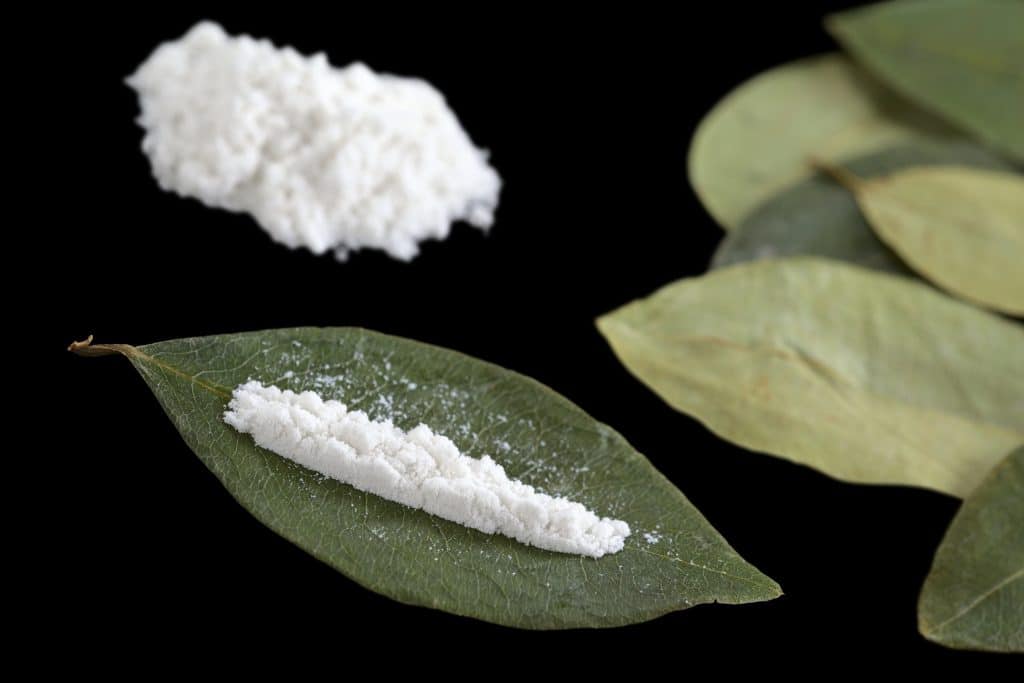 Cocaine powder (substituted by flour) in line ready for insufflating on a dried coca leaf with dried coca leaves and a pile of cocaine in the back (Selective Focus, Focus on the front of the cocaine line)