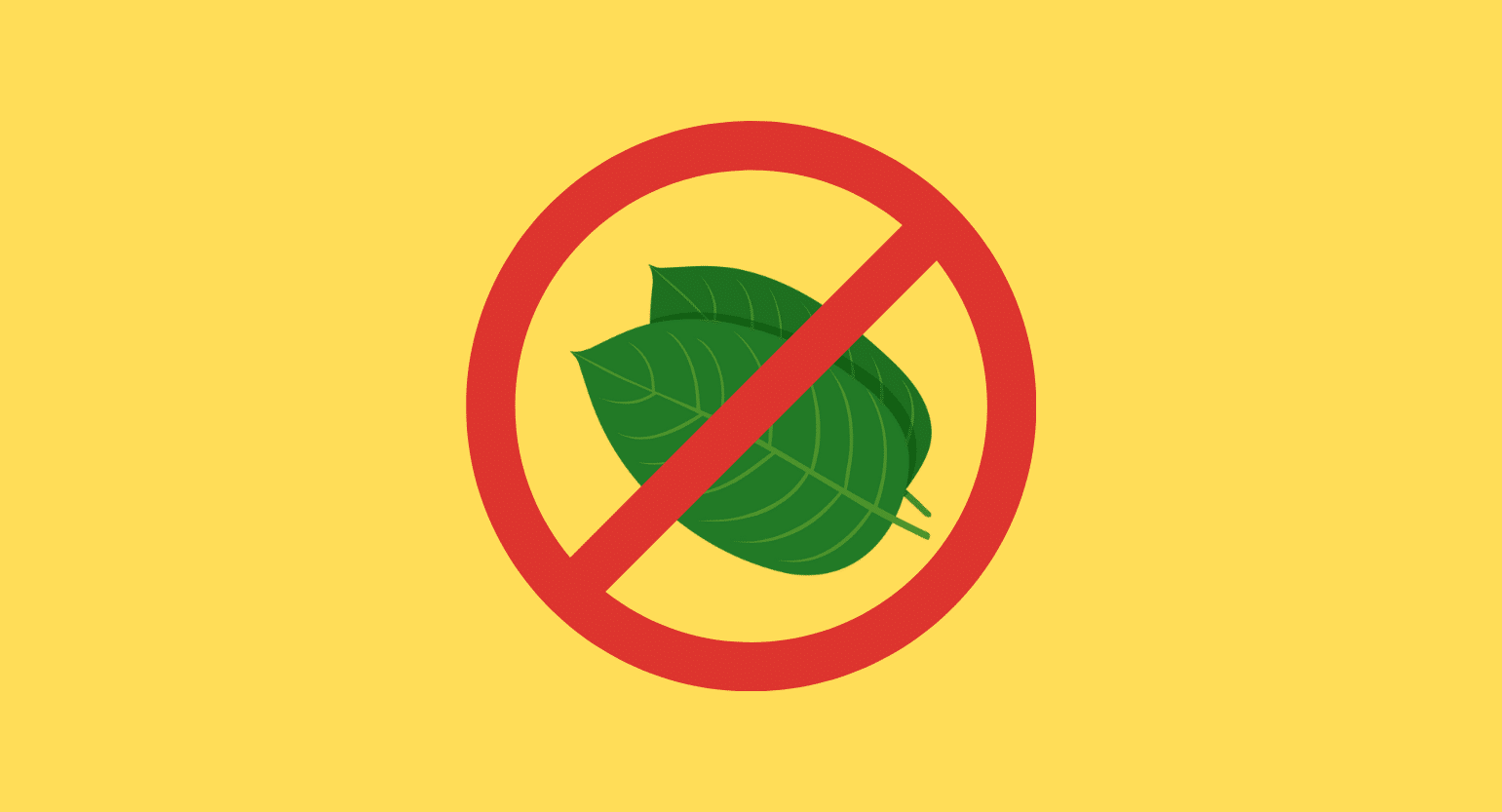 The WHO’s Decision on the Kratom Ban: What Does it Mean for the US?