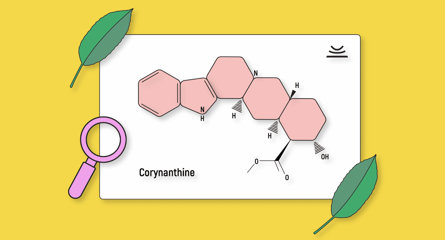 What Is Corynanthine? Effects, Side Effects, Dosage & More