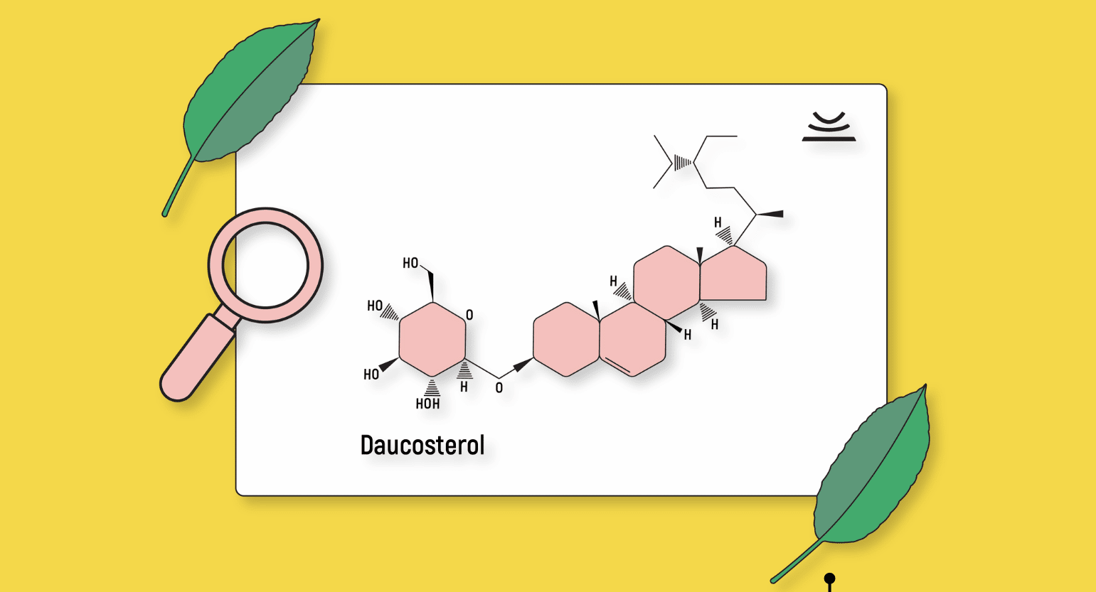 Daucosterol: What This Kratom Alkaloid Does & Why It’s Important