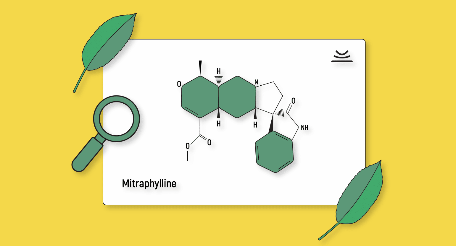 Mitraphylline: A Crucial Kratom Alkaloid With Anti-Inflammatory & Anti-Cancer Properties