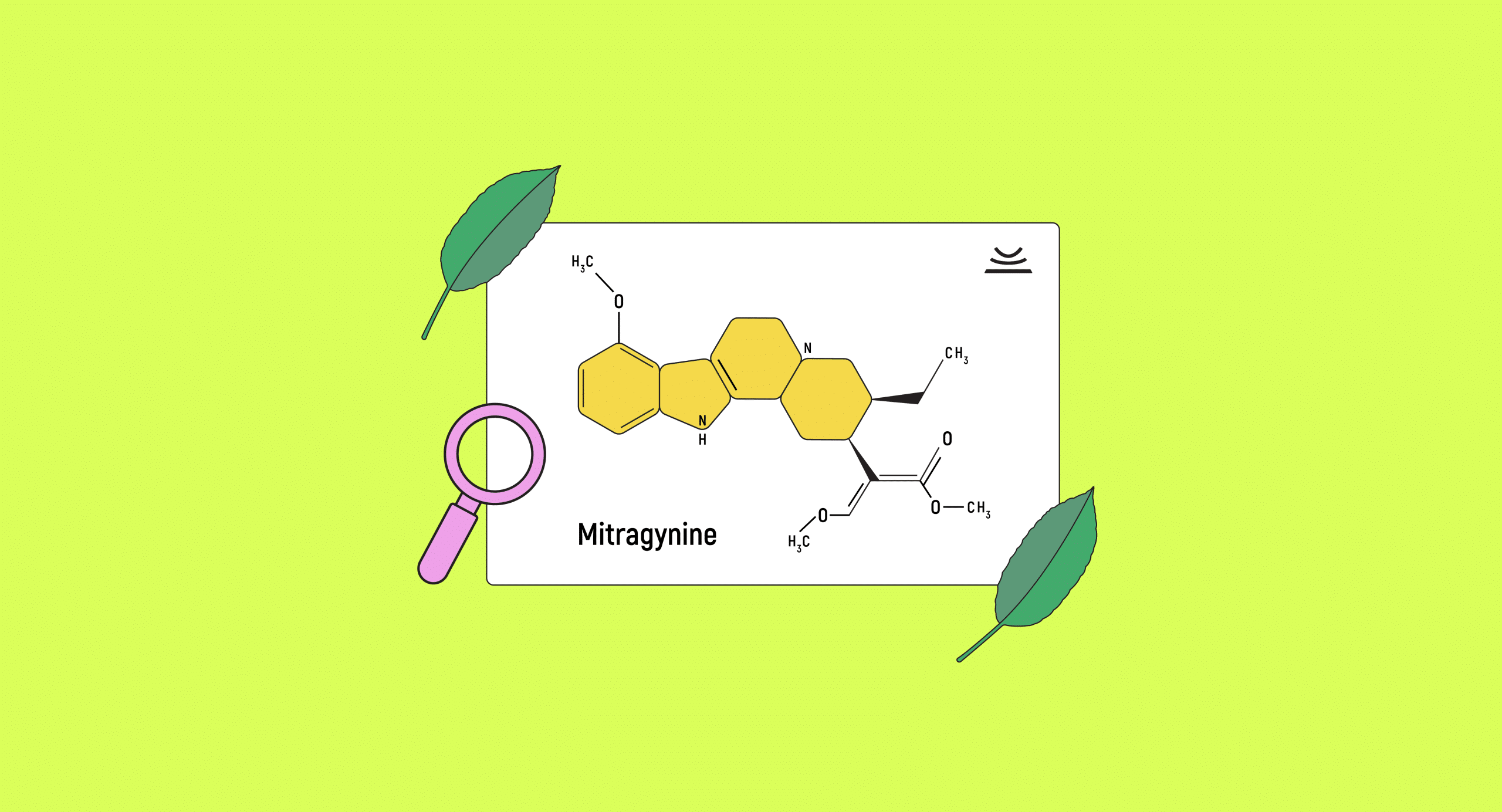 Mitragynine: Getting to Know This Powerful Alkaloid