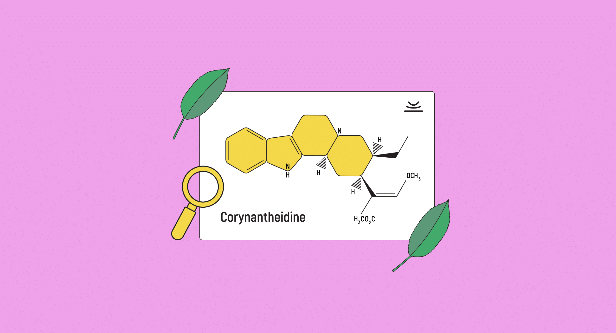 Corynantheidine: Everything You Need to Know About This Potent Alkaloid