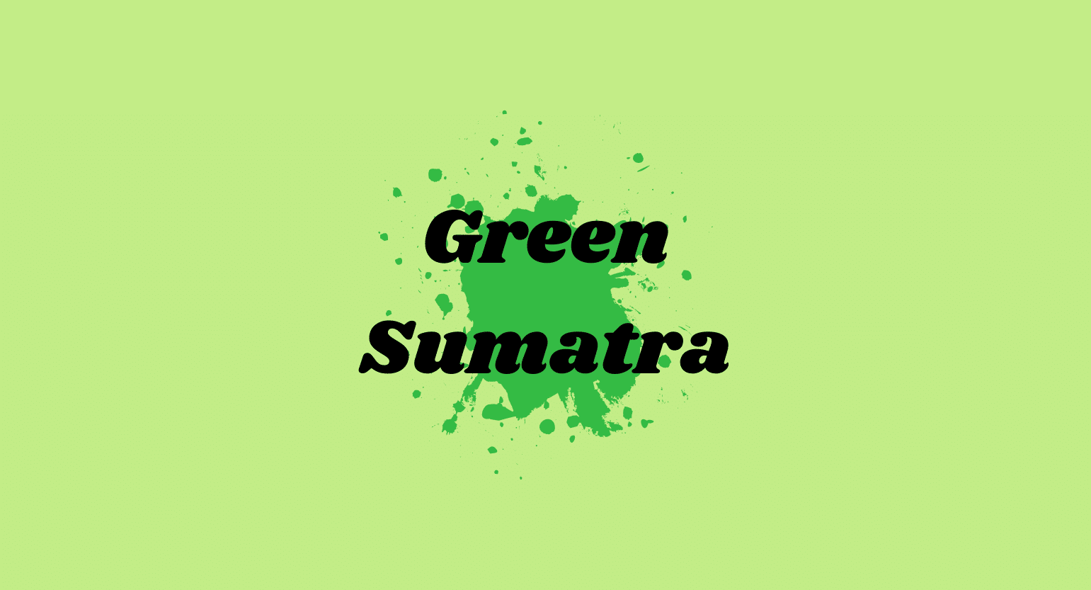 Green Sumatra Kratom: What Makes This Strain So Popular?