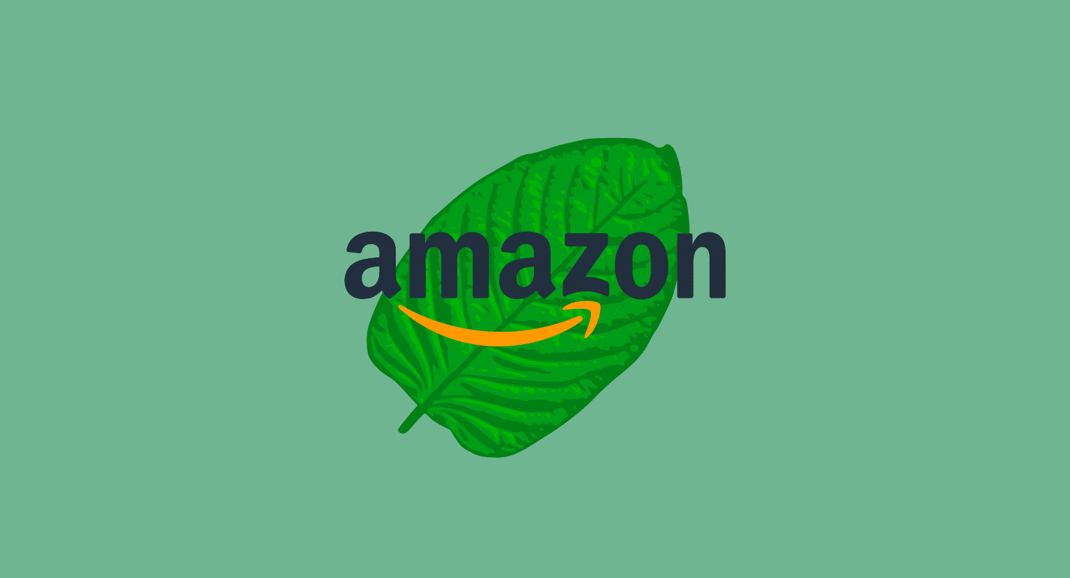 Why You Can’t Buy Kratom on Amazon (And Where To Order From Instead)