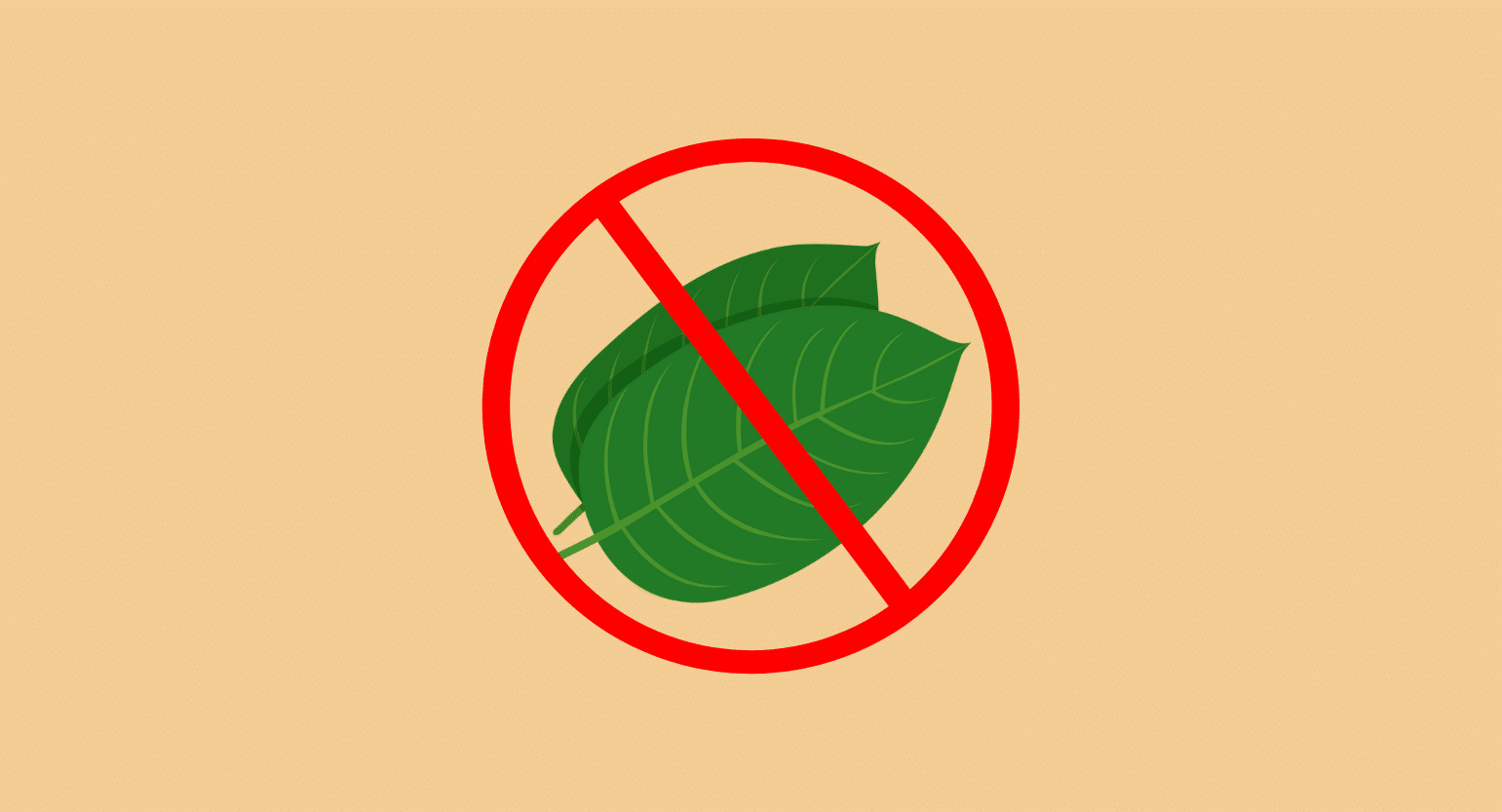Ohio Is Trying to Ban Kratom: Here’s What You Need To Know