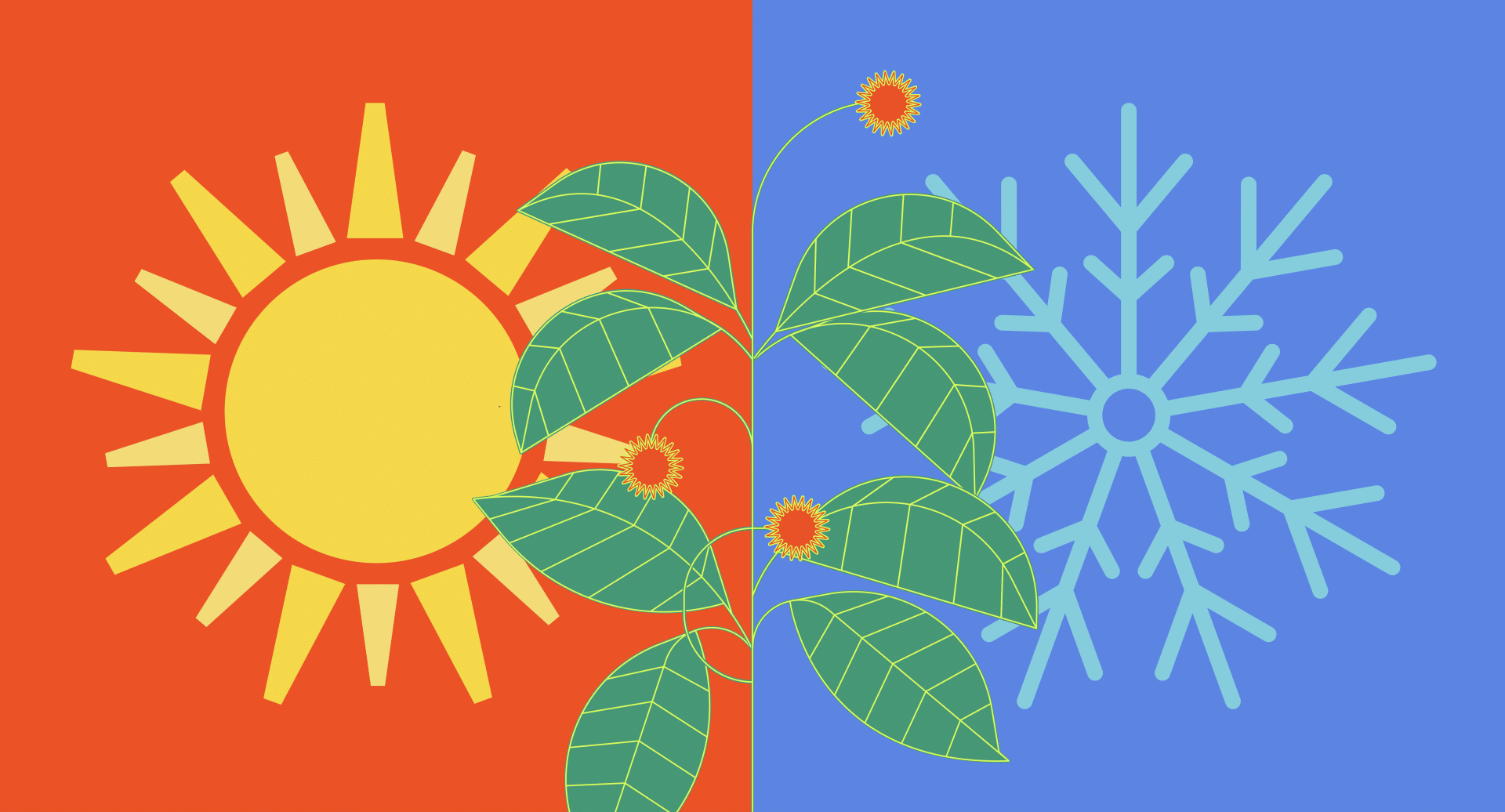 Hot vs. Cold Treatments For Pain (& Other Methods To Try)