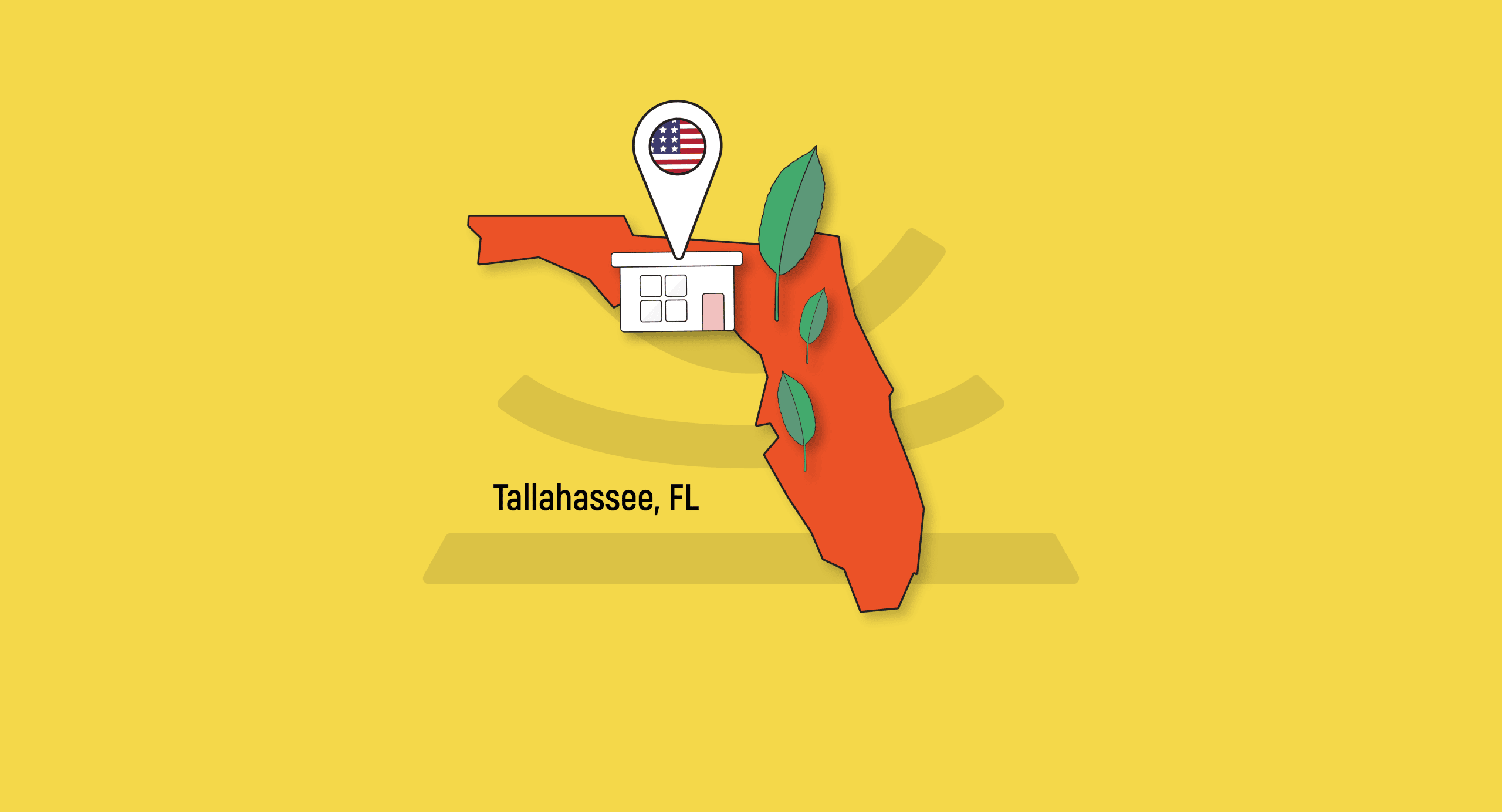 Where to Buy Kratom in Tallahassee