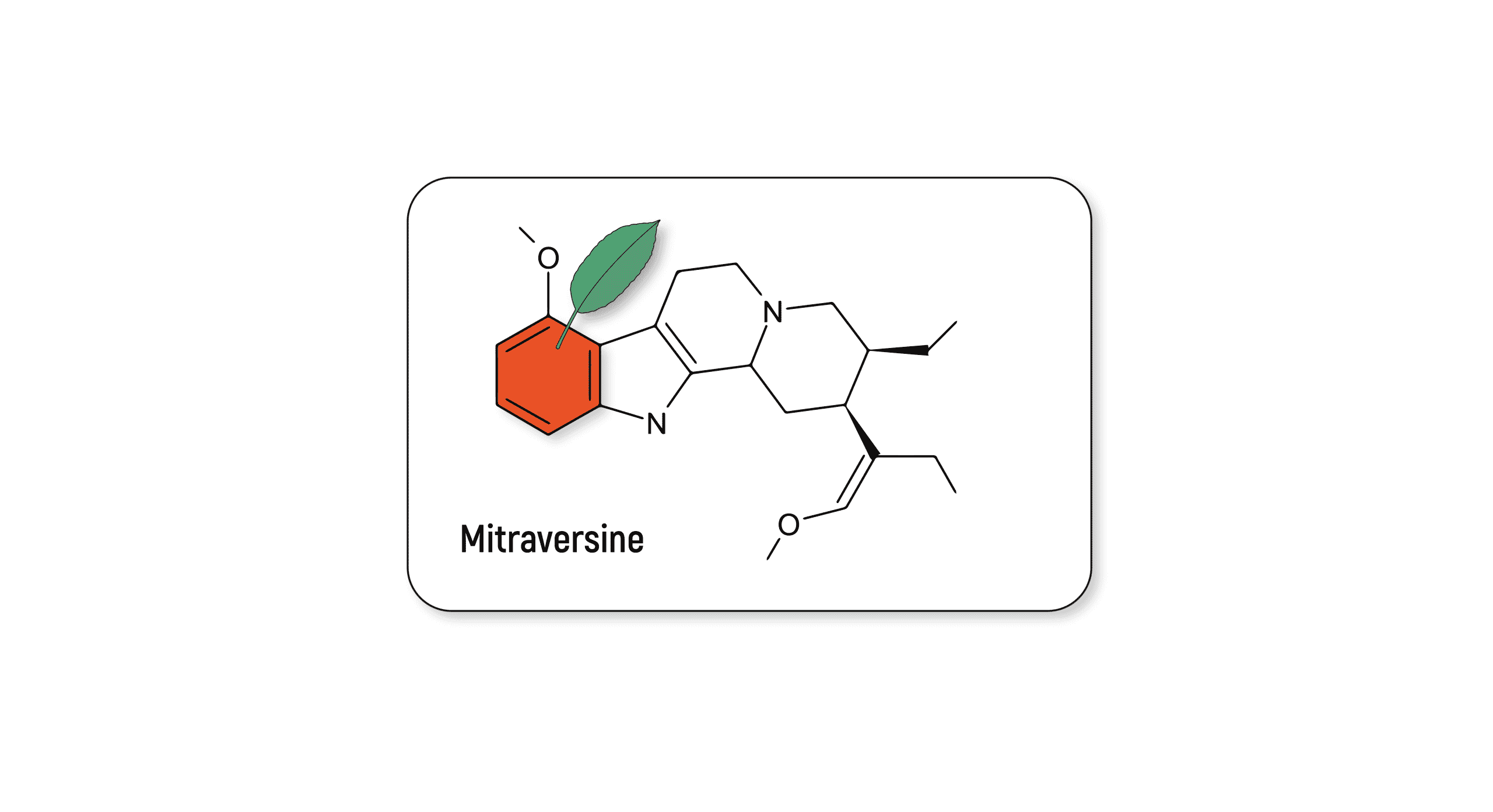Mitraversine: What We Know About This Elusive Kratom Alkaloid