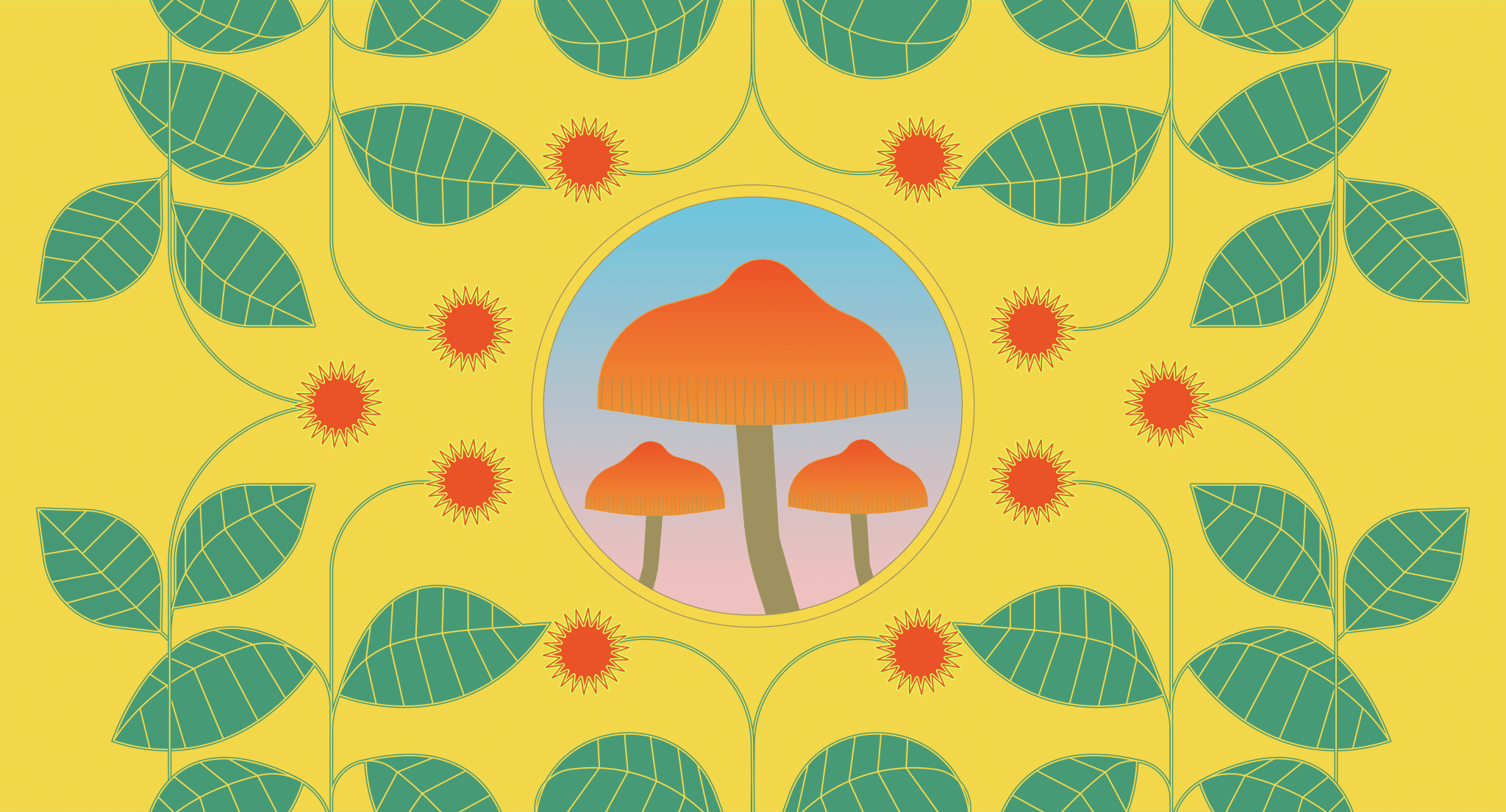 Interactions Between Kratom & Magic Mushrooms Interactions Between Kratom & Magic Mushrooms