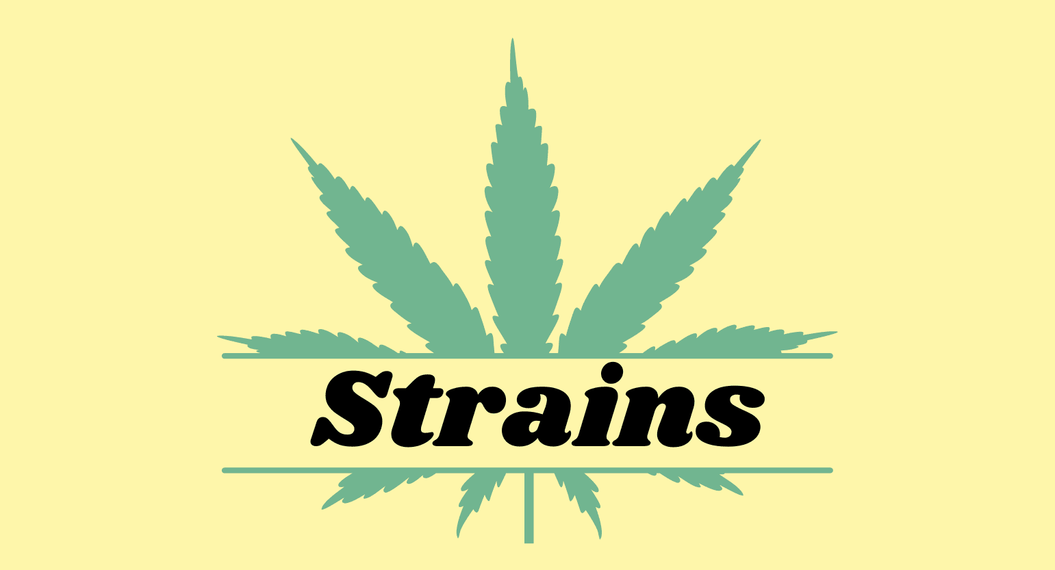 A Quick Look At Marijuana Strains: What Are They & Why Does It Matter?